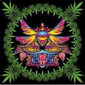 Meet your Posher, Trillestsh00ta